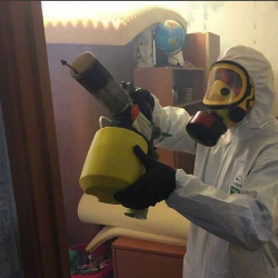Уничтожение клопов в квартире. Семенов